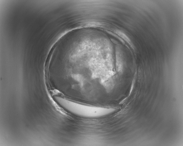 X0000069811047200606091830