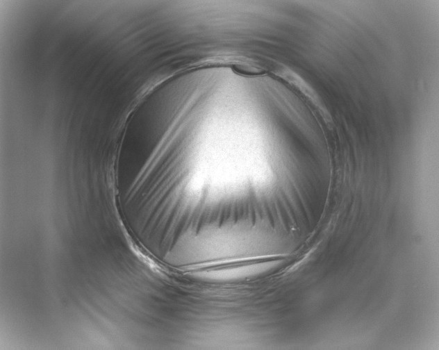 X0000069811049200606091830