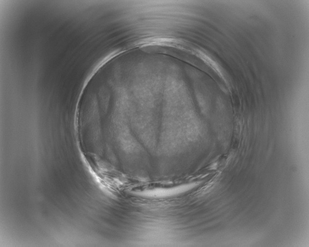 X0000069811050200606091830