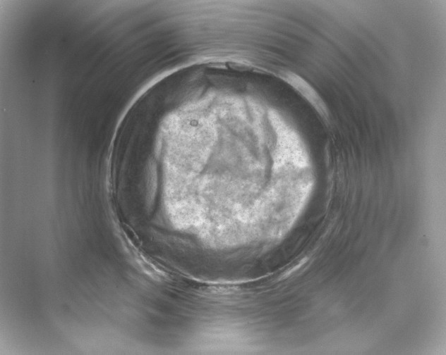 X0000069811052200606091830