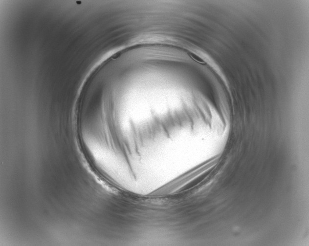 X0000069811053200606091830