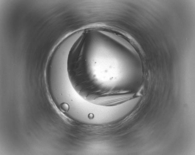 X0000069811054200606091830