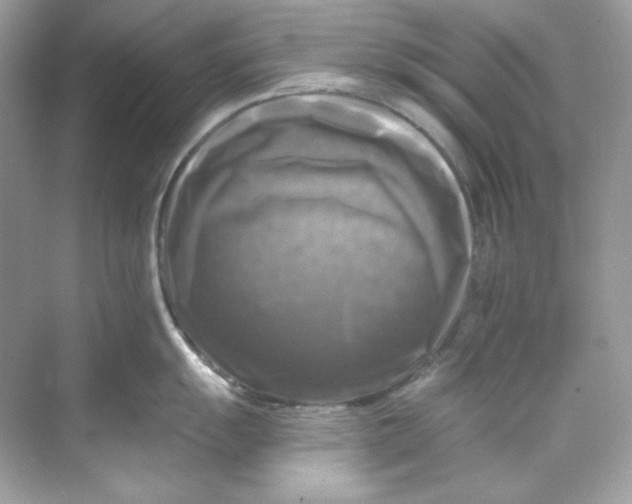 X0000069811055200606091830