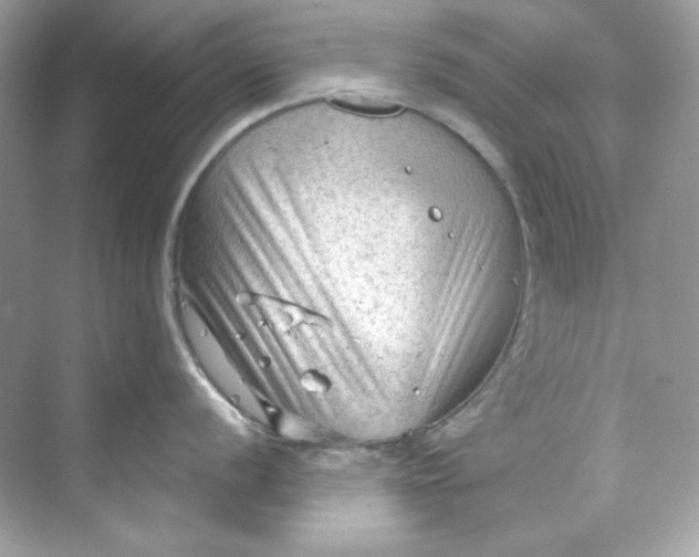 X0000069811056200606091830