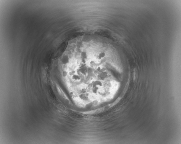 X0000069811059200606091829