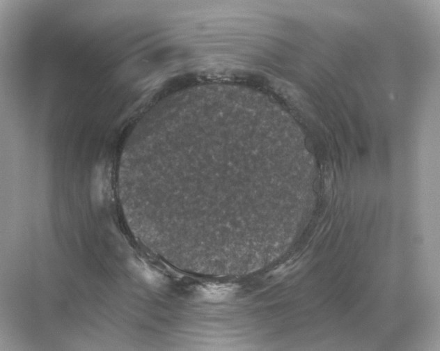 X0000069811060200606091829