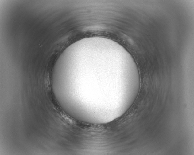 X0000069811062200606091829