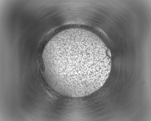 X0000069811064200606091829