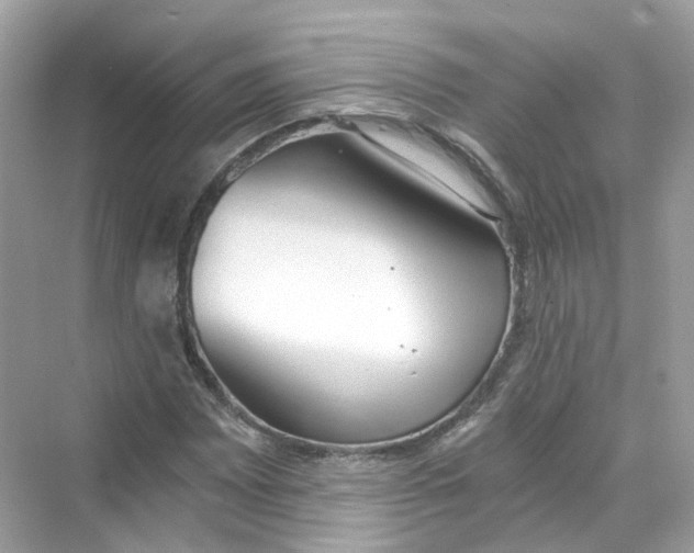 X0000069811065200606091829