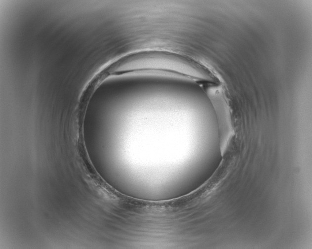 X0000069811069200606091829