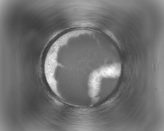 X0000069811071200606091829