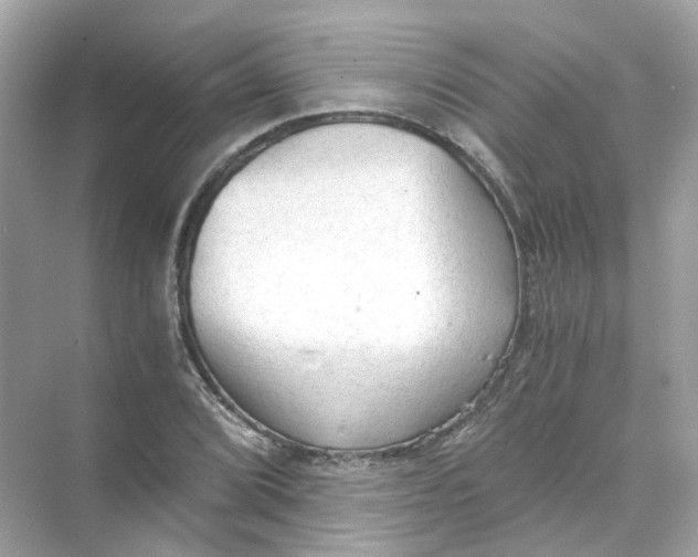 X0000069811072200606091829