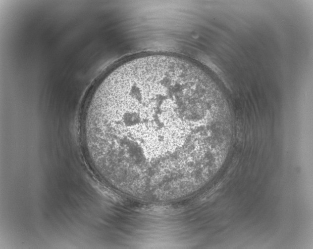 X0000069811074200606091829