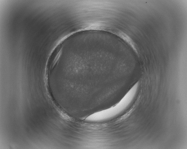 X0000069811077200606091829