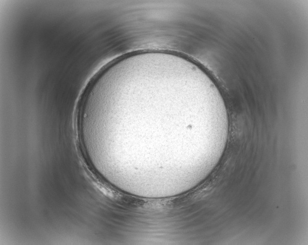 X0000069811078200606091829