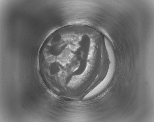 X0000069811079200606091829