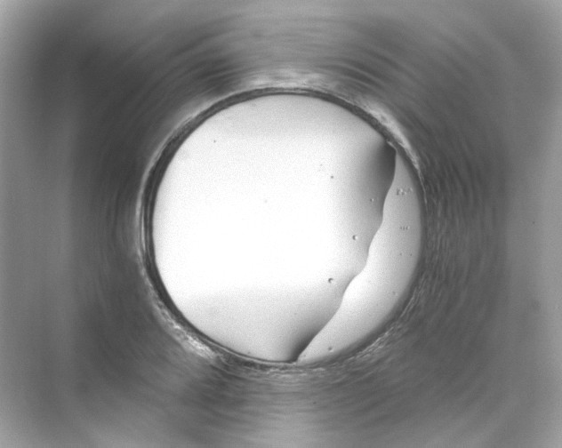 X0000069811080200606091829