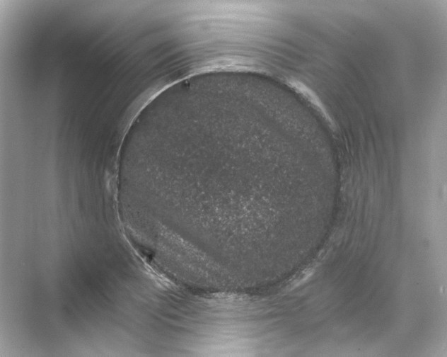 X0000069811081200606091829