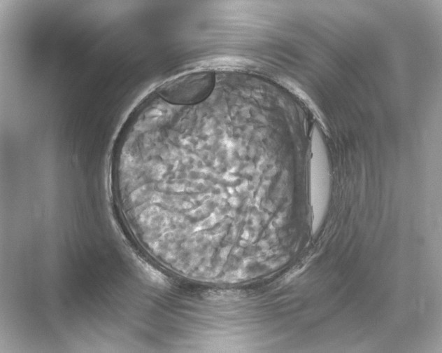 X0000069811083200606091829