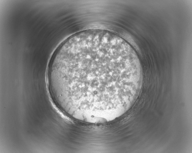 X0000069811084200606091829