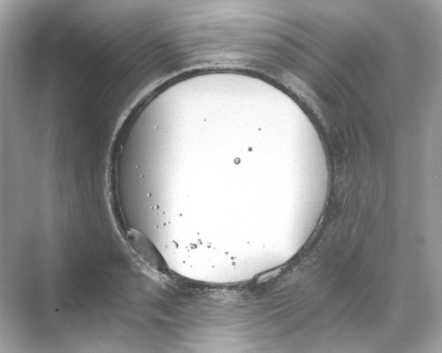 X0000069811085200606091829