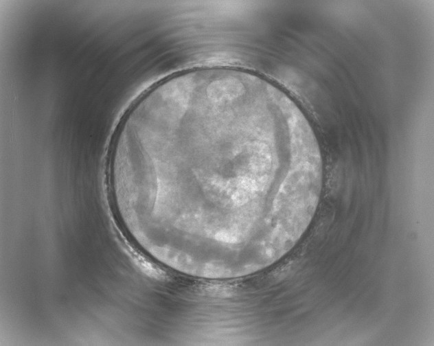 X0000069811086200606091829