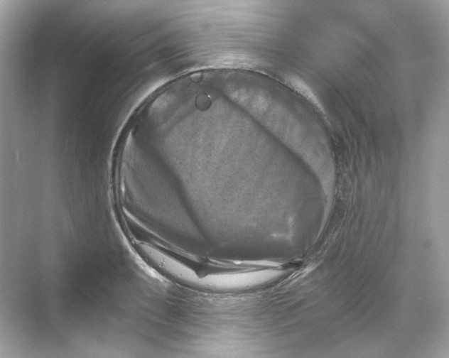 X0000069811087200606091829