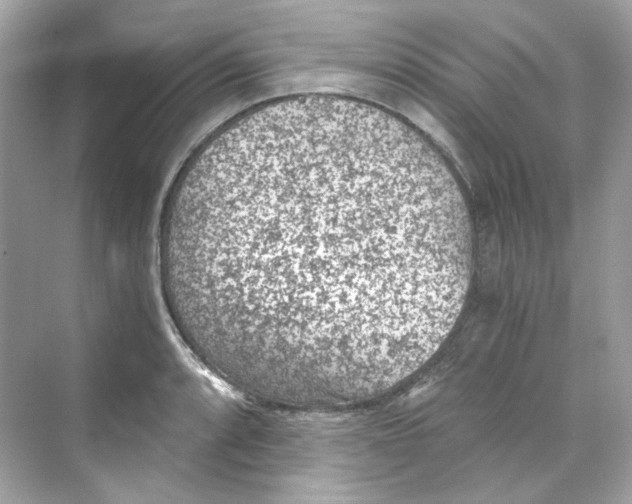 X0000069811088200606091828