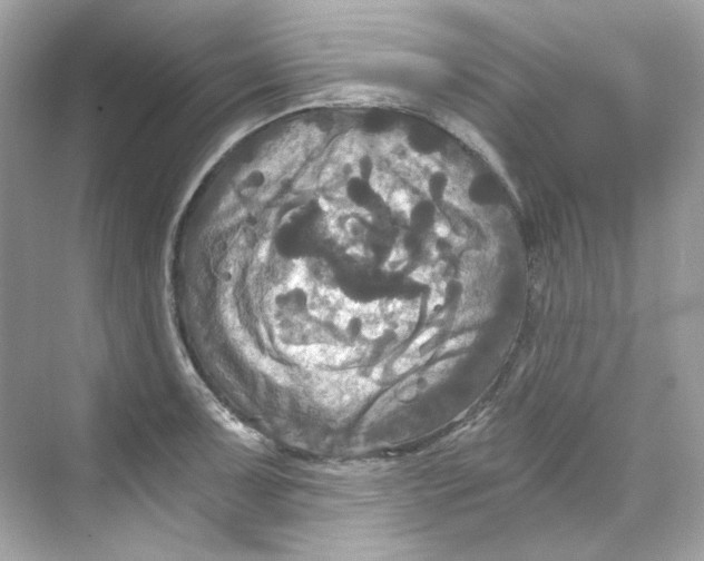 X0000069811091200606091828