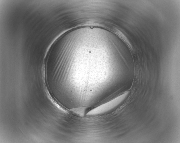 X0000069811092200606091828