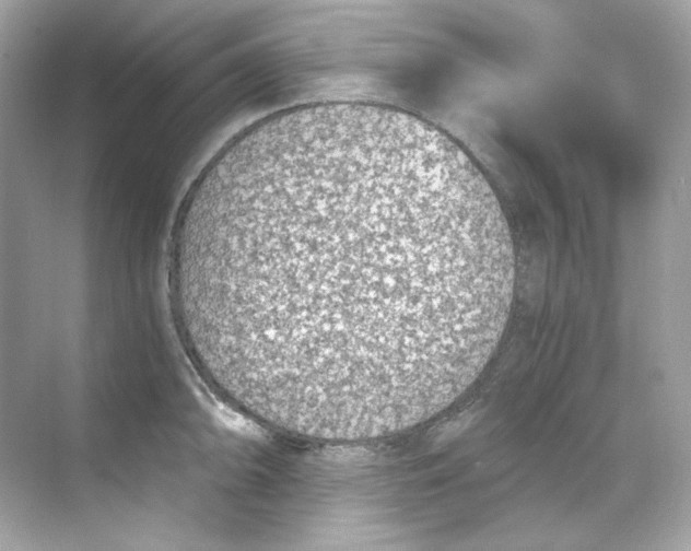 X0000069811094200606091828