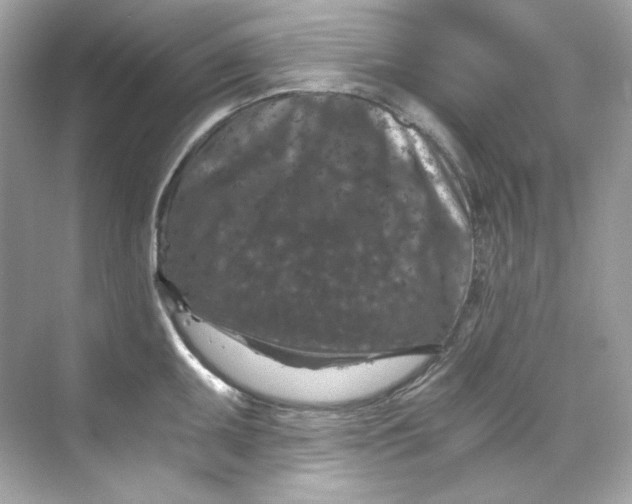 X0000069811095200606091828