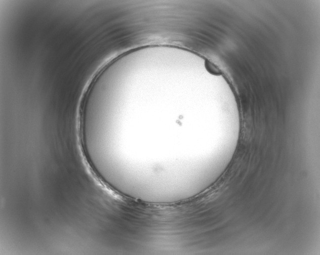 X0000069811096200606091828