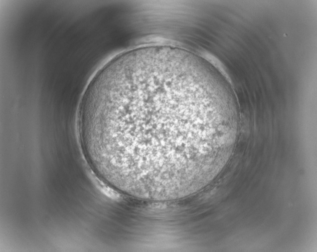 X0000069811098200606091828