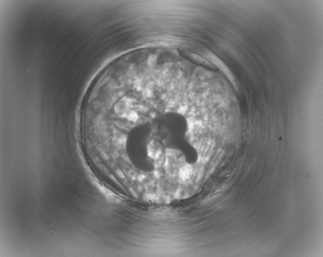 X0000069811099200606091828