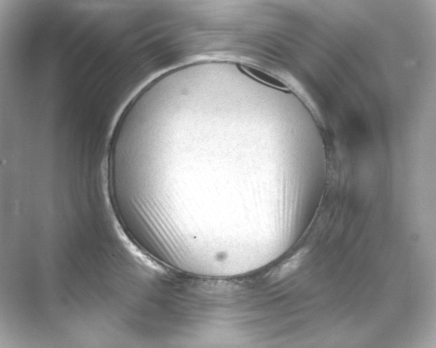 X0000069811100200606091828