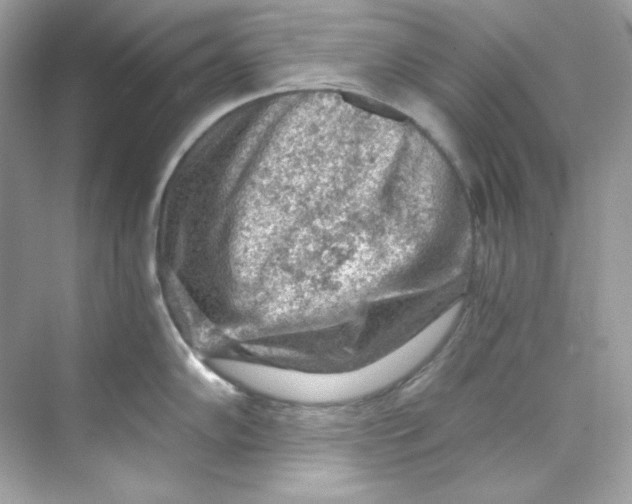 X0000069811102200606091828