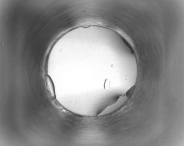 X0000069811104200606091828