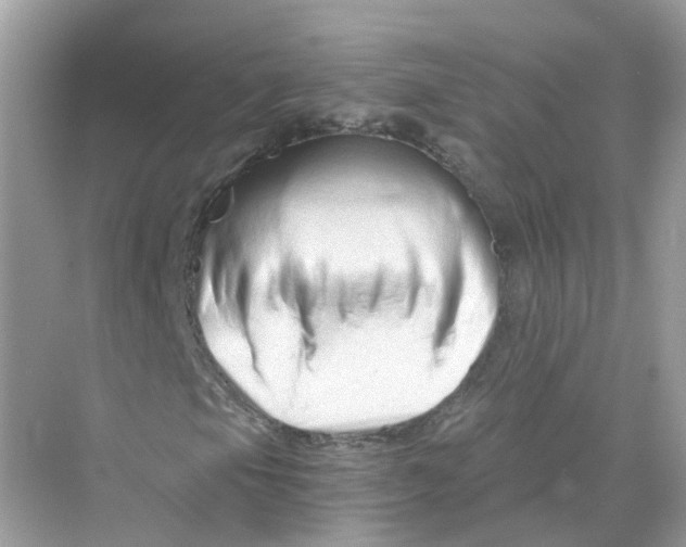 X0000069811105200606091827