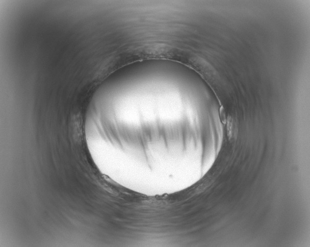 X0000069811107200606091827