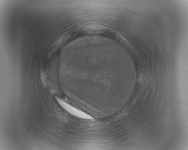 X0000069811108200606091827