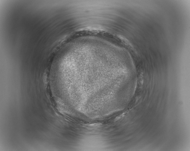 X0000069811110200606091827