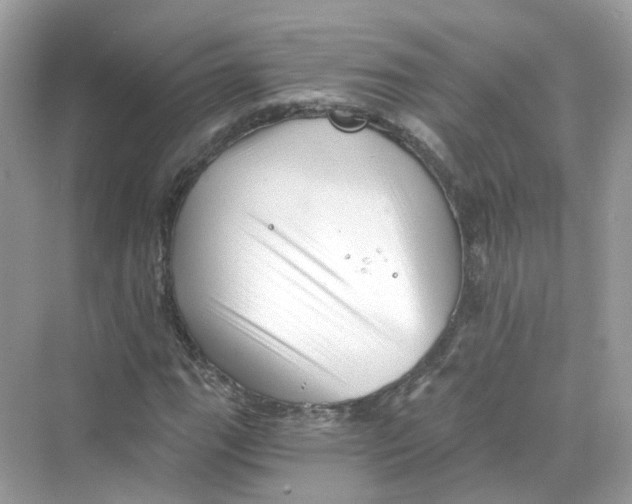 X0000069811111200606091828