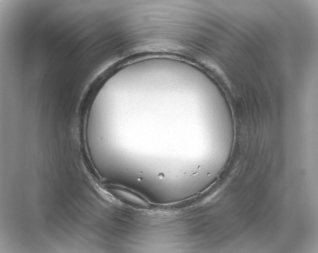 X0000069811114200606091828