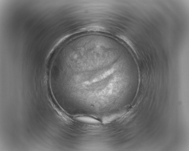 X0000069811115200606091828