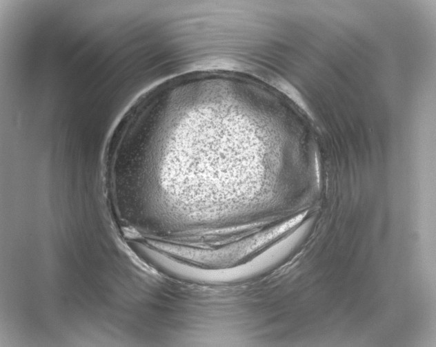 X0000069811116200606091828