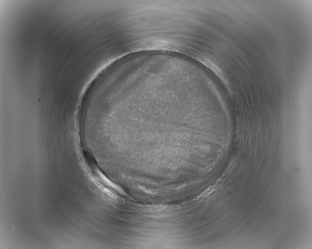 X0000069811120200606091828