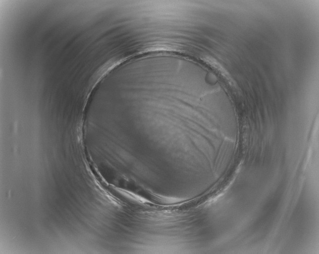 X0000069811121200606091828