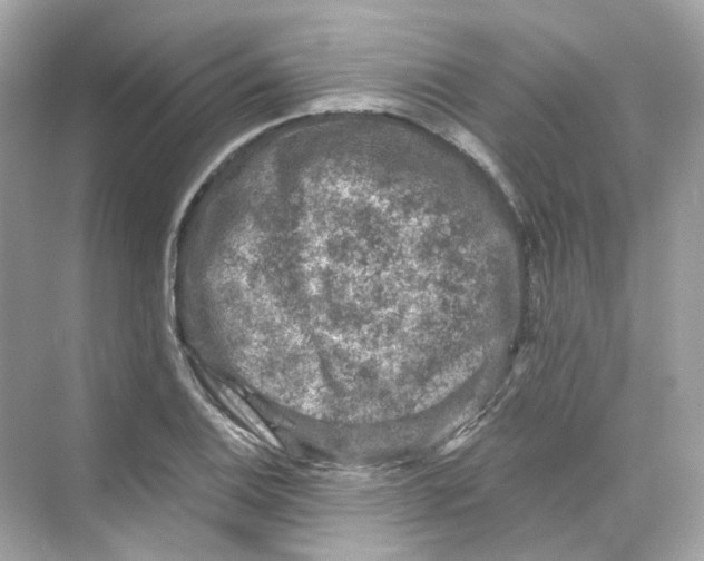 X0000069811124200606091828