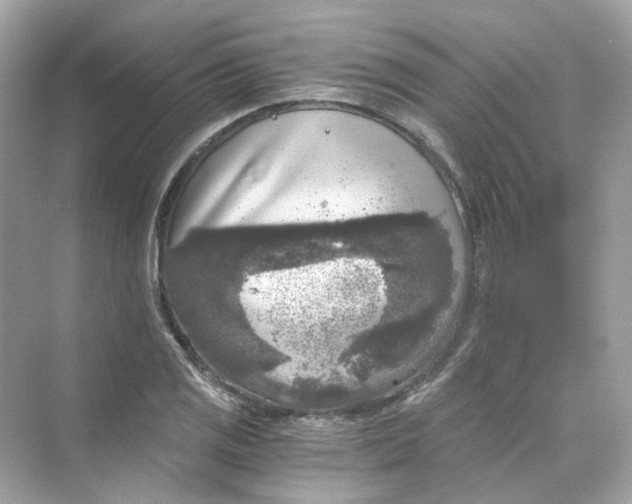 X0000069811125200606091828